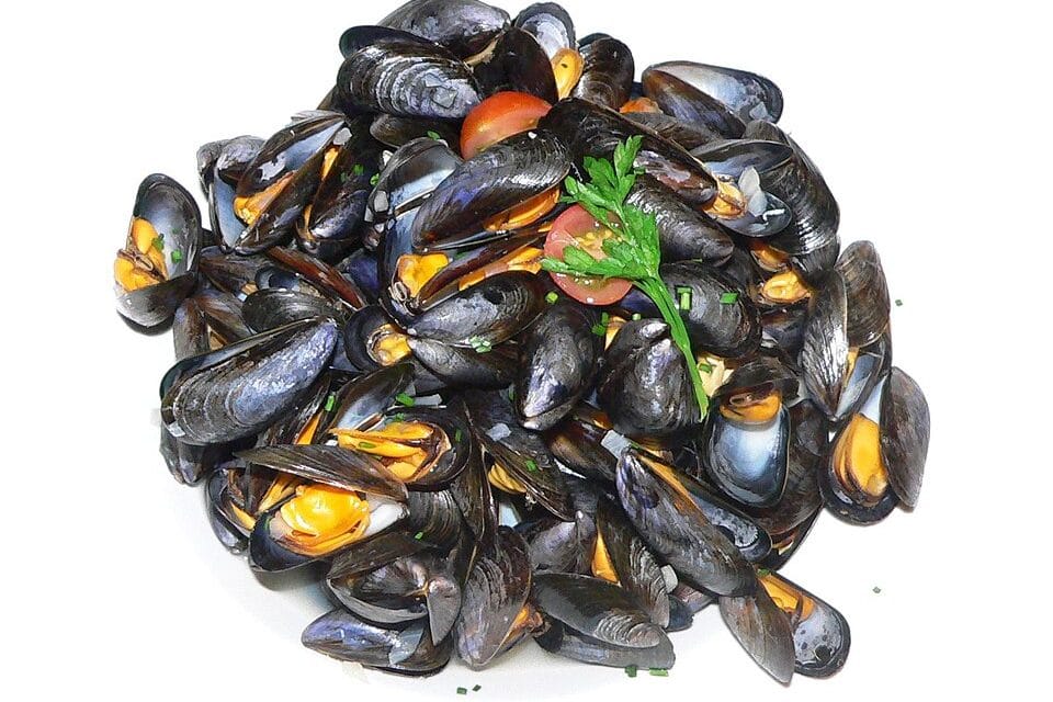 Moules marinières traditionnelles : la recette de bord de mer qui ne rate jamais