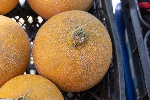 Salade de melon et jambon cru : le duo sucré-salé star de l'été