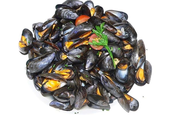 Moules marinières traditionnelles : la recette de bord de mer qui ne rate jamais
