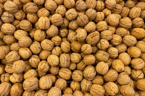 Noix fraîches de fin septembre : la technique pour les décortiquer sans te noircir les mains